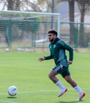 رشاد المتولي