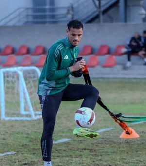 طارق محمد