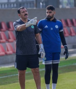 كمال السيد